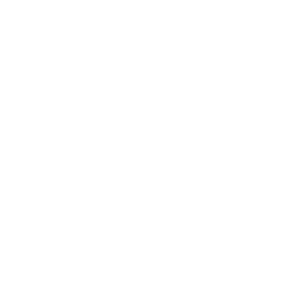 Selo Black Belt, Six Sigma